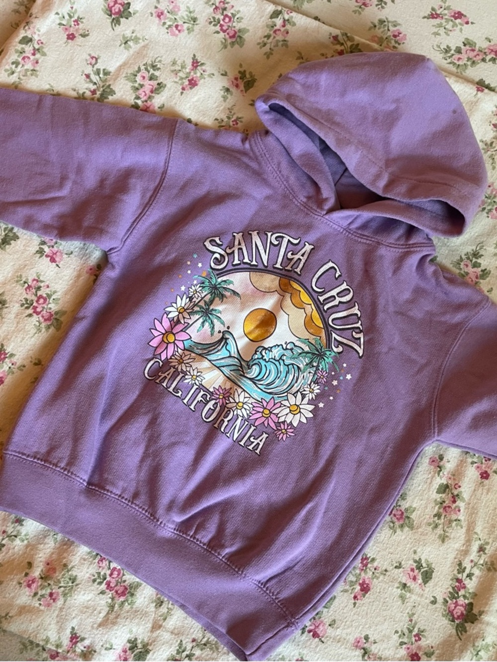 Purple Santa Cruz California Graphic Hoodie - Lavender